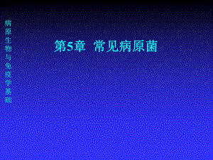 第5章常见病原菌.ppt
