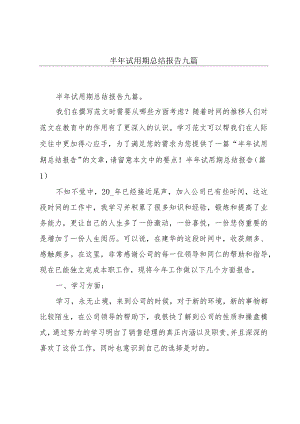半年试用期总结报告九篇.docx