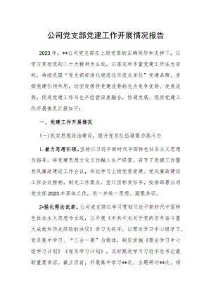 公司党支部党建工作开展情况报告.docx
