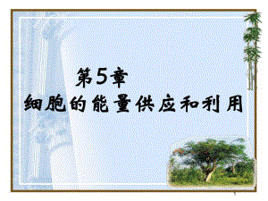 第5章细胞的能量供应和利用名师编辑PPT课件.ppt