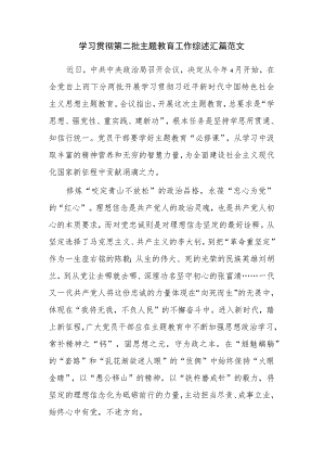 学习贯彻第二批主题教育工作综述汇篇范文.docx
