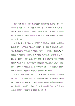 第二批主题教育发言稿《四下基层》.docx