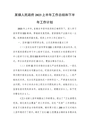 某镇人民政府2023上半年工作总结和下半年工作计划.docx