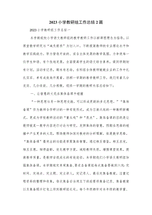 2023小学教研组工作总结2篇.docx