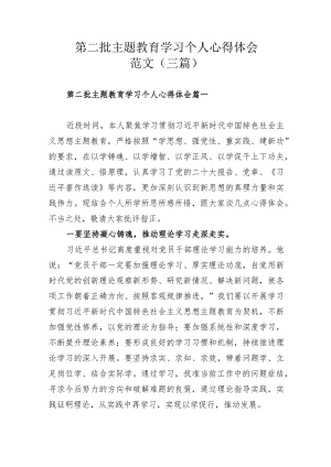 第二批主题教育学习个人心得体会范文（三篇）.docx