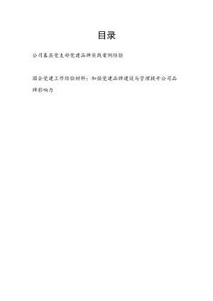 2023国企公司基层党支部党建品牌实践案例经验.docx