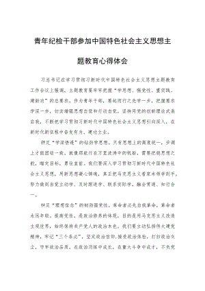 青年纪检干部参加中国特色社会主义思想主题教育心得体会心得体会.docx