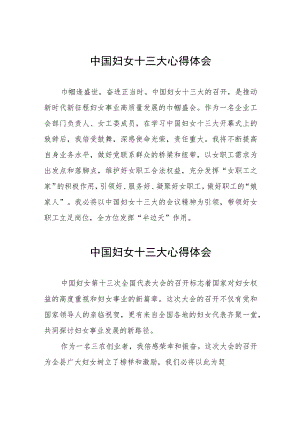 2023年妇女干部学习中国妇女第十三次全国代表大会精神的心得感悟（十一篇）.docx