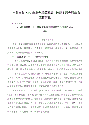 二十篇合集2023年度专题学习第二阶段主题专题教育工作简报.docx