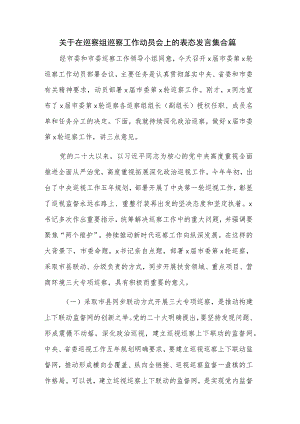 关于在巡察组巡察工作动员会上的表态发言集合篇.docx