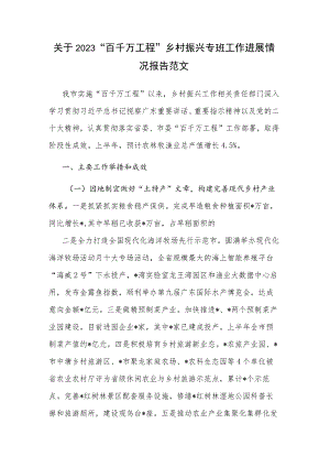 关于2023“百千万工程”乡村振兴专班工作进展情况报告范文.docx