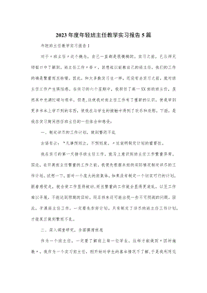 2023年度年轻班主任教学实习报告5篇.docx