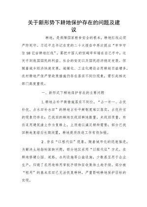 关于新形势下耕地保护存在的问题及建议.docx
