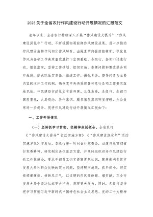 2023关于全省农行作风建设行动开展情况的汇报范文.docx