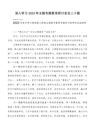 深入学习2023年主题专题教育研讨发言二十篇.docx