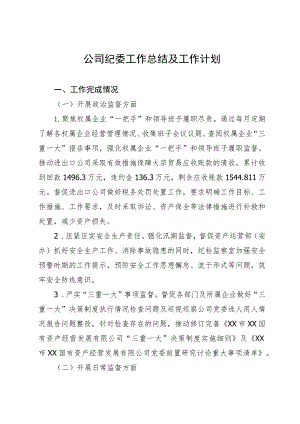 公司纪委2023年工作总结及2024年工作计划.docx