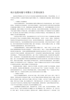 统计造假问题专项整治工作情况报告.docx
