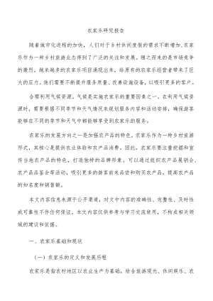 农家乐研究报告.docx