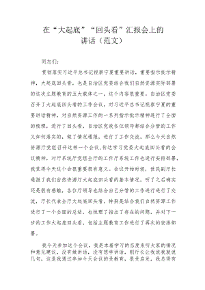 在“大起底”“回头看”汇报会上的讲话(范文）.docx