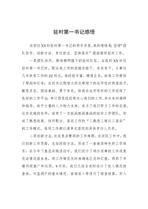 驻村第一书记感悟心得体会.docx