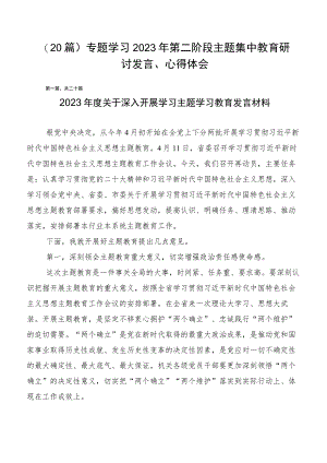 （20篇）专题学习2023年第二阶段主题集中教育研讨发言、心得体会.docx