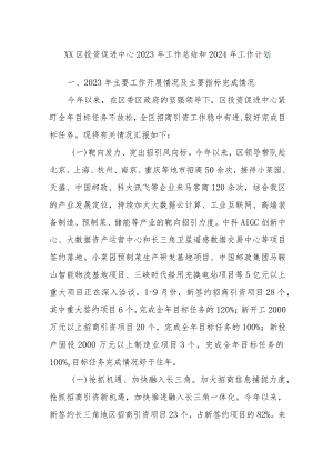XX区投资促进中心2023年工作总结和2024年工作计划.docx