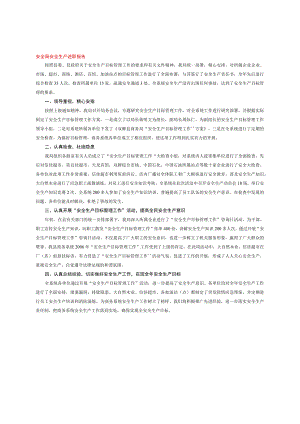 安全局安全生产述职报告.docx