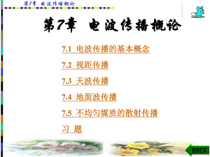 第7章微波技术与天线.ppt