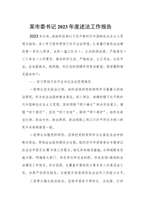 某市委书记2023年度述法工作报告.docx