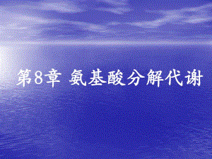 第8章氨基酸代谢.ppt