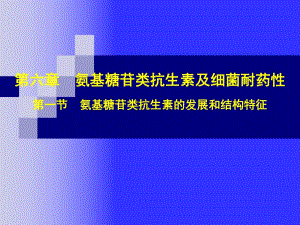 第6章氨基糖苷类抗生素.ppt