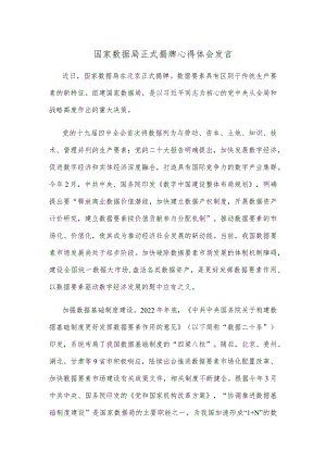 国家数据局正式揭牌心得体会发言.docx