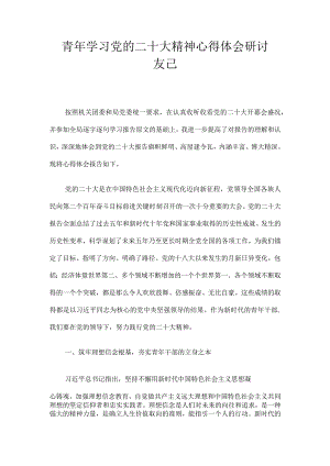 青年学习党的二十大精神心得体会研讨发言.docx