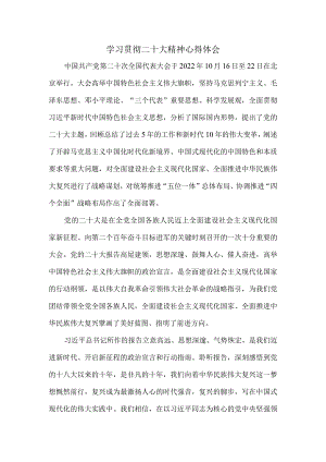 学习贯彻二十大精神心得体会04.docx