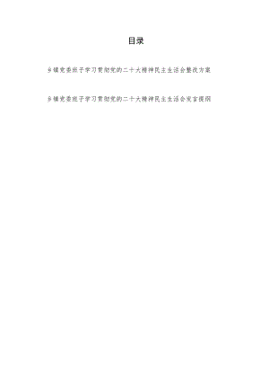 乡镇党委班子学习贯彻党的二十大精神民主生活会整改方案和发言提纲.docx