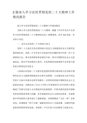 2篇深入学习宣传贯彻党的二十大精神工作情况报告.docx