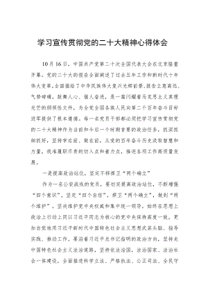 公安民警干部学习宣传贯彻党的二十大精神心得体会三篇.docx