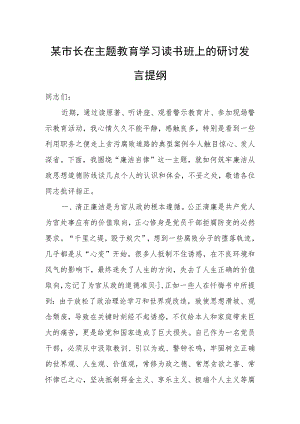 某市长在主题教育学习读书班上的研讨发言提纲.docx