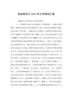 民政局关于2023年工作情况汇报.docx