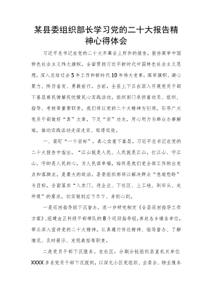 某县委组织部长学习党的二十大报告精神心得体会.docx