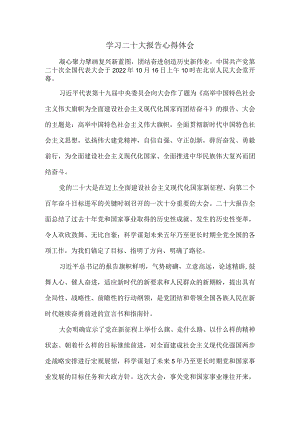 认真学习二十大报告心得体会七.docx