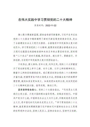 在伟大实践中学习贯彻党的二十大精神.docx
