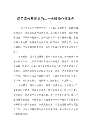 治安大队大队长学习党的二十大精神心得体会八篇.docx