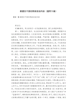 新提任干部任职前谈话内容(通用5篇).docx