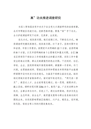 “真”功夫推进调查研究.docx