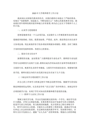 市区高等学院2023年大学教师教学工作计划.docx