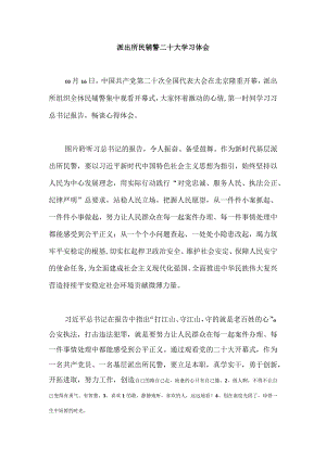 【精品文档】二十大学习体会（派出所）.docx