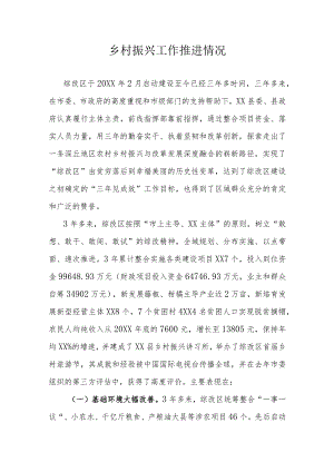 乡村振兴工作推进情况.docx