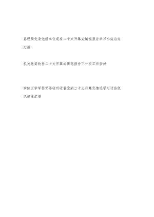 单位党委组织观看党的二十大开幕式情况汇报学习小结总结汇报下一步工作安排.docx