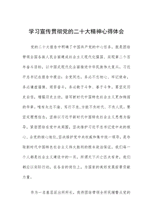 公安民警干部学习宣传贯彻党的二十大精神心得体会八篇.docx